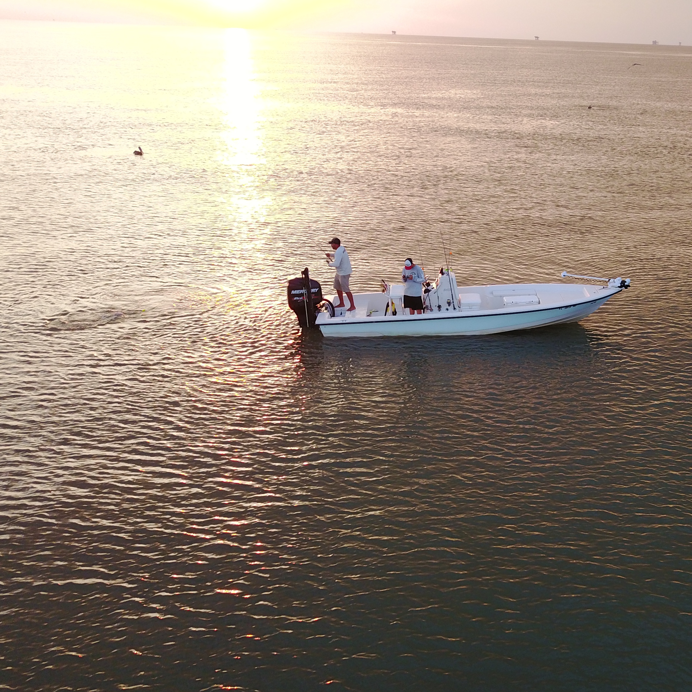 24 Pathfinder Clearwater fishing charters