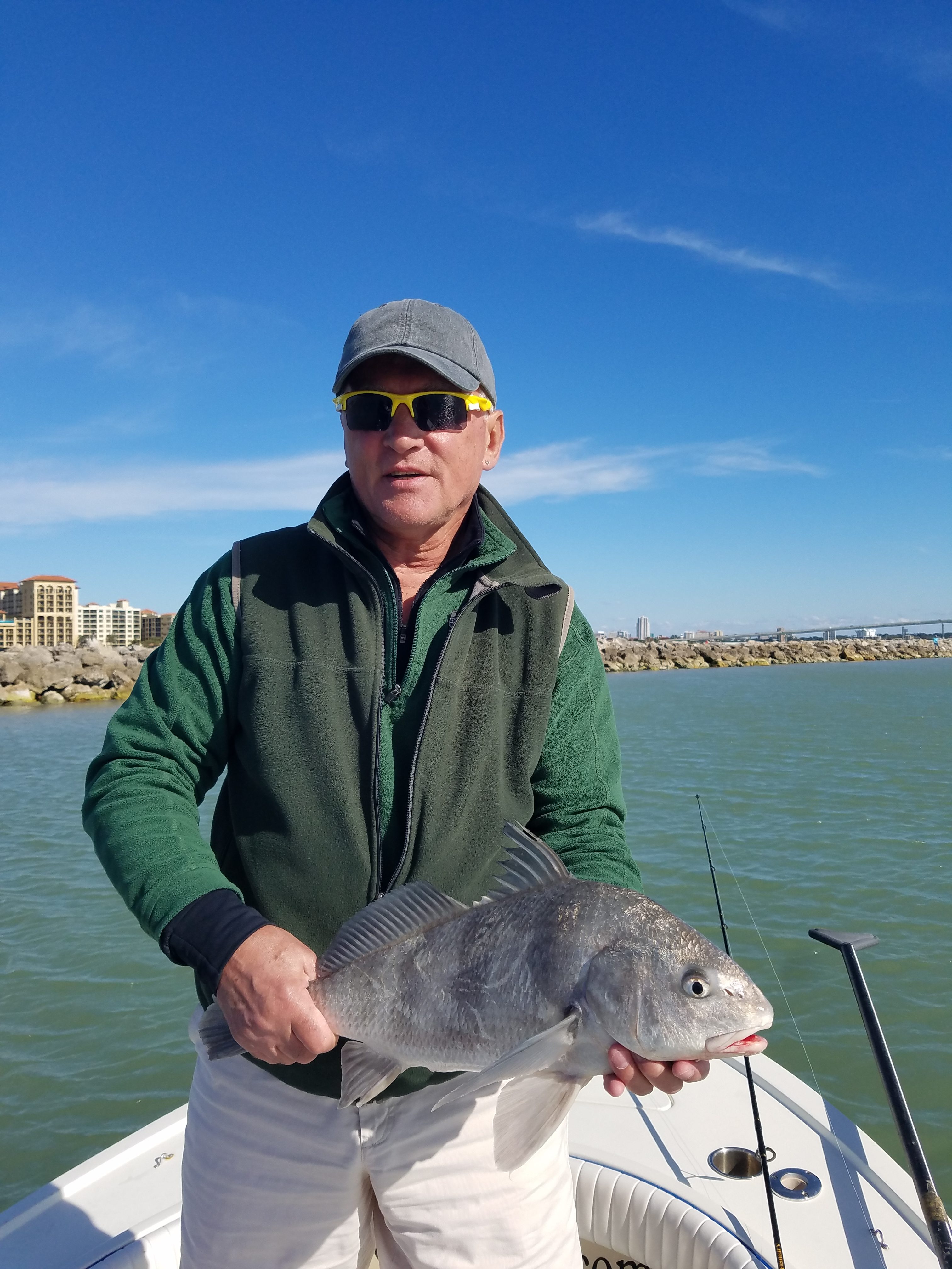 Black Drum Caught while on a fishing guide trip near Clearwater beach, fl