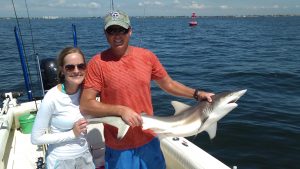Shark fishing charters Clearwater beach