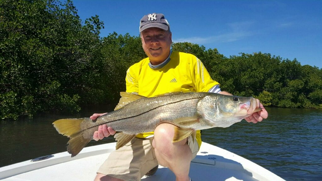 Snook Dock Light Fishing - St. Petersburg Fishing Charters