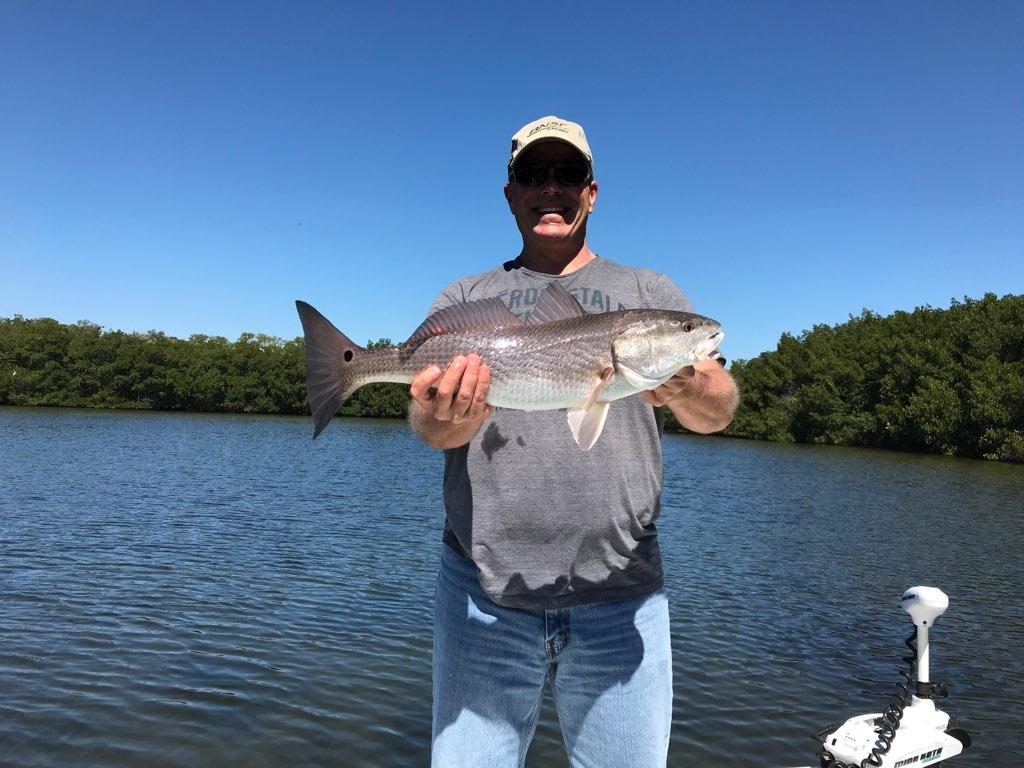 Tampa Bay Redfish – Tampa Fishing Charters