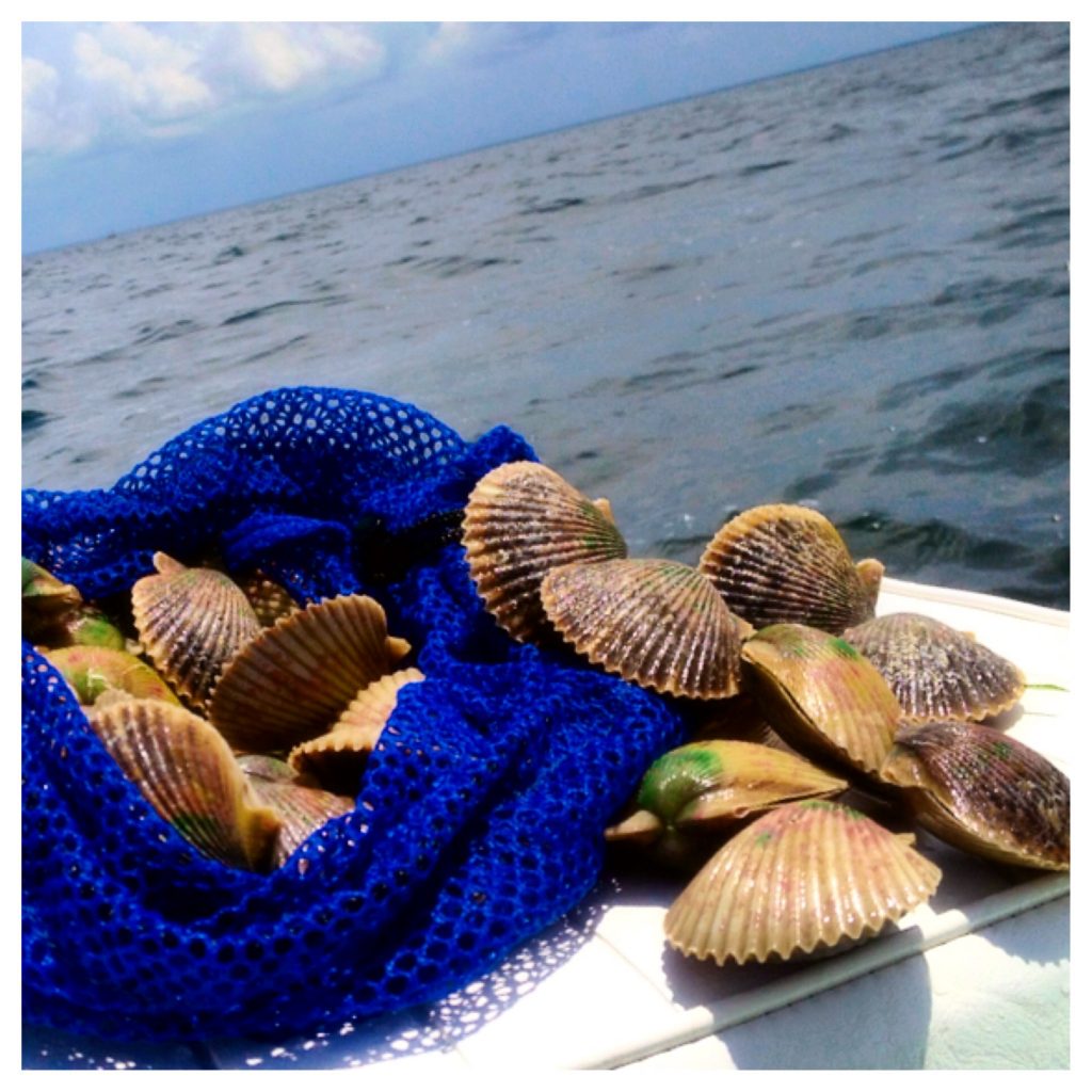 Pasco Scalloping Charters